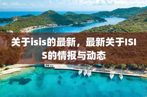 关于isis的最新，最新关于ISIS的情报与动态中山市多米克自动化设备有限公司
