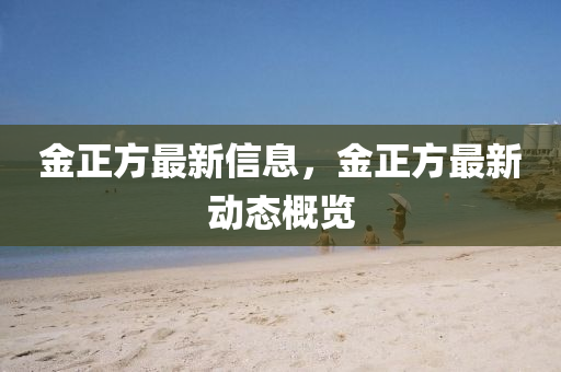 金正方最新信息，金正方最新动态概览中山市多米克自动化设备有限公司