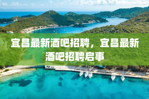 宜昌最新酒吧招聘，宜昌最新酒吧招聘启事中山市多米克自动化设备有限公司