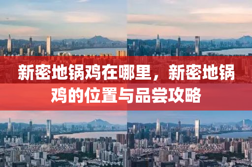新密地锅鸡在哪里，新密地锅鸡的位置与品尝攻略中山市多米克自动化设备有限公司