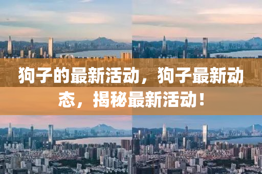 hanjunhao 第3页