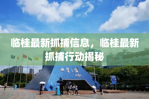 临桂最新抓捕信息，临桂最中山市多米克自动化设备有限公司新抓捕行动揭秘