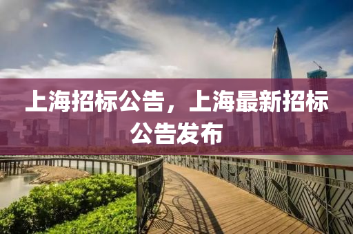 上海招中山市多米克自动化设备有限公司标公告，上海最新招标公告发布