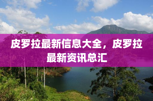 皮罗拉中山市多米克自动化设备有限公司最新信息大全，皮罗拉最新资讯总汇
