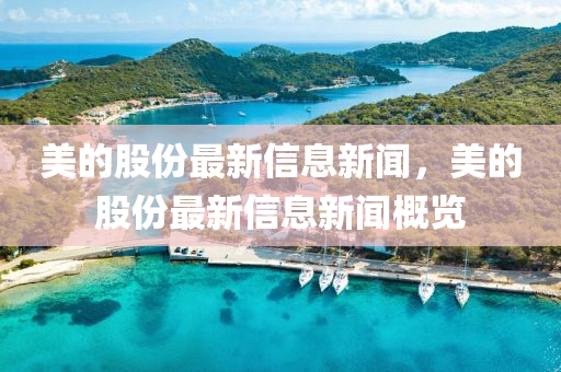 美的股份最新信息新闻，美的股份最新信息新闻概览中山市多米克自动化设备有限公司