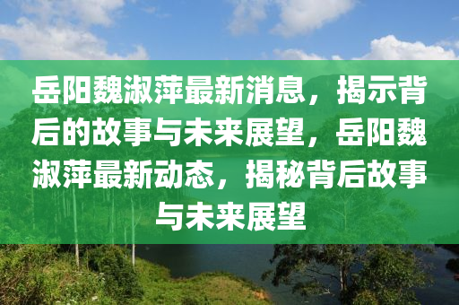 岳阳魏淑萍最新消息，揭中山市多米克自动化设备有限公司示背后的故事与未来展望，岳阳魏淑萍最新动态，揭秘背后故事与未来展望