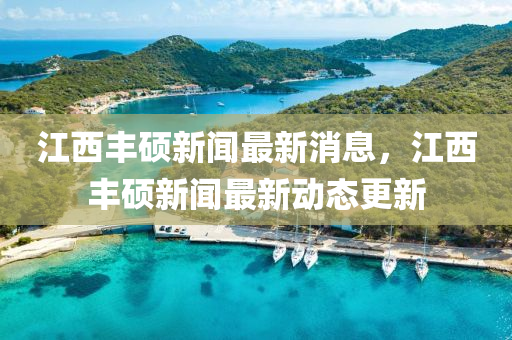 江西丰硕新闻最新消息，江西丰硕新闻最新动态更新中山市多米克自动化设备有限公司