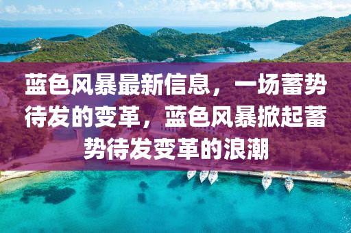蓝色风暴最新信息，一场蓄势待发的变革，蓝色风暴掀起蓄势待发变革的浪潮中山市多米克自动化设备有限公司