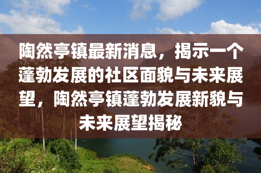 陶然亭镇最新消息，揭示一个蓬勃发展的社区面貌与未来展望，陶然亭镇蓬勃发展新貌与未来展望揭秘中山市多米克自动化设备有限公司