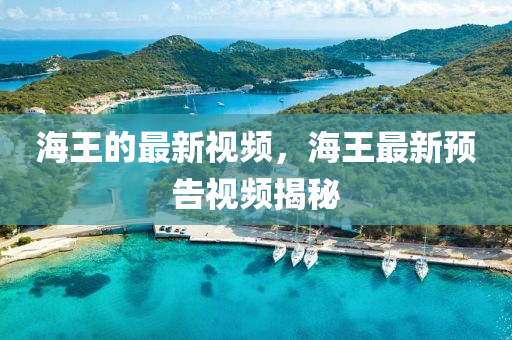 海王的中山市多米克自动化设备有限公司最新视频，海王最新预告视频揭秘