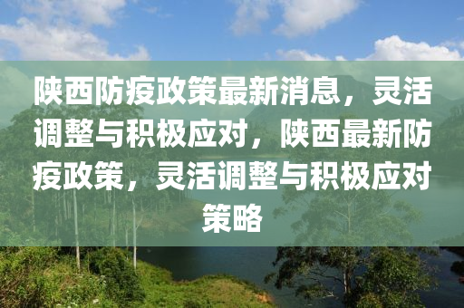 陕西防疫政策最新消息，灵中山市多米克自动化设备有限公司活调整与积极应对，陕西最新防疫政策，灵活调整与积极应对策略