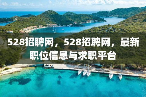 528招聘网，528招聘网，最新职位信息与求职平台中山市多米克自动化设备有限公司