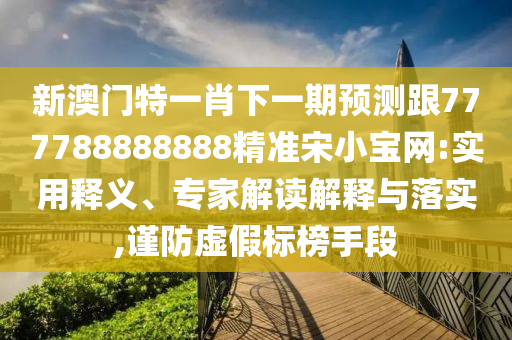 新奥及香港今晚开一肖一特讲解词语,效能解读、专家解析解释与落实-谨防夸大宣传
