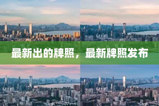 中山市多米克自动化设备有限公司最新出的牌照，最新牌照发布