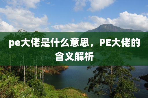 pe大佬是什么意思，PE大佬的含义解析中山市多米克自动化设备有限公司