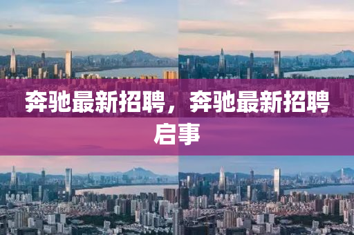 chenyuanwei 第3页