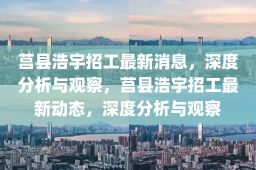 莒县浩宇招工最新消息，深度分析与观察，莒县浩宇招工最新动态，深度分析与观察中山市多米克自动化设备有限公司