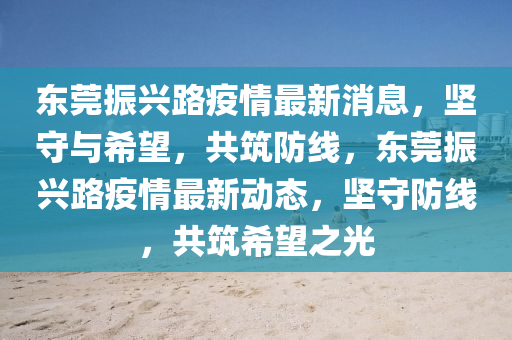 东莞振兴路疫情最新消息，坚守与希望，共筑防线，东莞振兴路疫情最新动态，坚守防线，共筑希望之光中山市多米克自动化设备有限公司