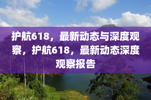 护航618，最新动态与深度观察，护航618，最新动态深度观察中山市多米克自动化设备有限公司报告