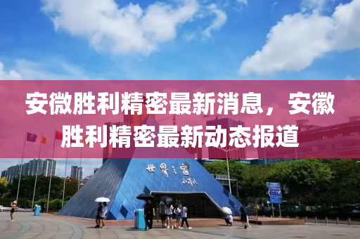 安微胜利精密最新消息，安徽胜利精密最新动态报道中山市多米克自动化设备有限公司