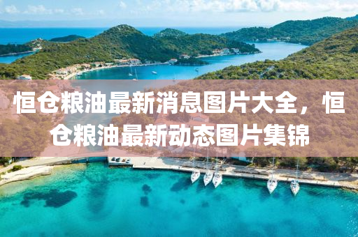 恒仓粮油最新消息图片大全，恒仓粮油最新动态图片集锦中山市多米克自动化设备有限公司
