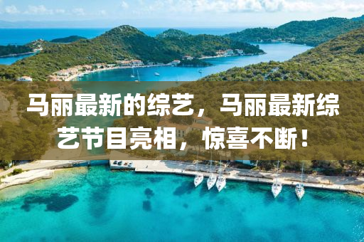 马丽中山市多米克自动化设备有限公司最新的综艺，马丽最新综艺节目亮相，惊喜不断！