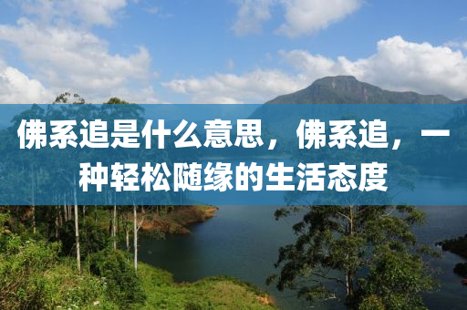 佛系追是什么意思，佛系追，一种轻松随缘的生活态度中山市多米克自动化设备有限公司