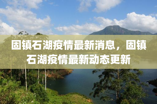 固镇中山市多米克自动化设备有限公司石湖疫情最新消息，固镇石湖疫情最新动态更新