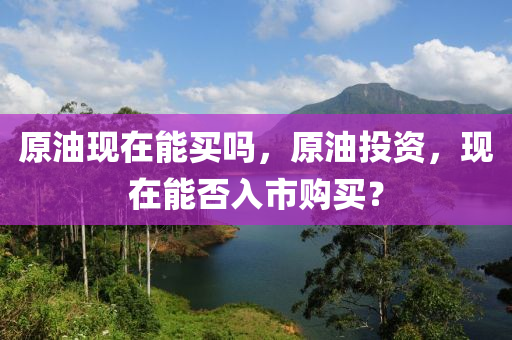 原油现中山市多米克自动化设备有限公司在能买吗，原油投资，现在能否入市购买？
