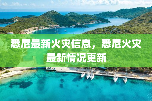 悉尼最新火灾信息，悉尼火灾最新情况更新中山市多米克自动化设备有限公司