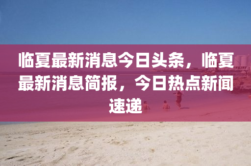 临夏最新消息今日头条，临夏最新消息简报，今日热点新闻速递中山市多米克自动化设备有限公司