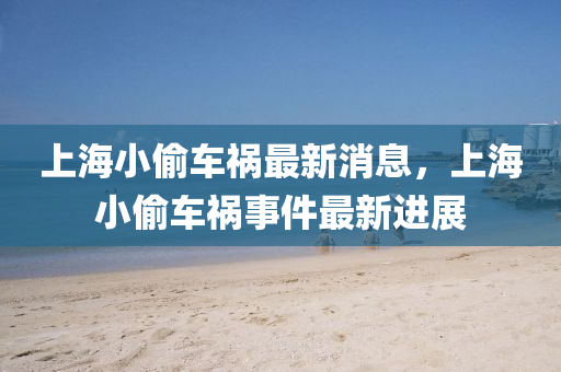 上海小偷车祸最新消息，上海小偷车祸事件最新进展中山市多米克自动化设备有限公司