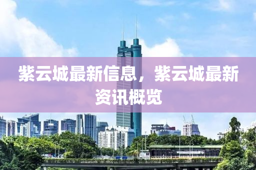 紫云城最新信息，紫中山市多米克自动化设备有限公司云城最新资讯概览
