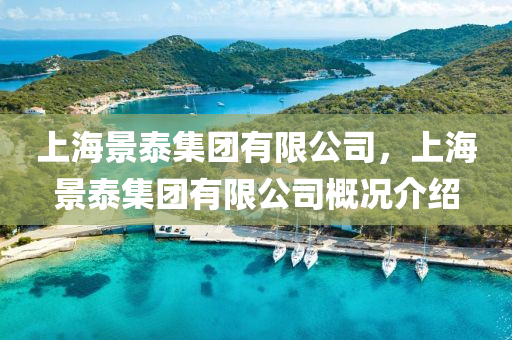 上海景泰集团有限公司，上海景泰集团中山市多米克自动化设备有限公司有限公司概况介绍