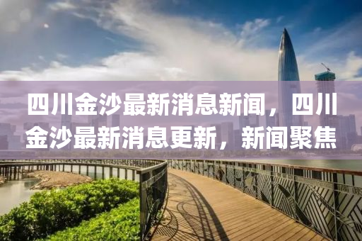 四川金沙最新消息新闻，四川金沙最新消息更新，新闻聚焦中山市多米克自动化设备有限公司