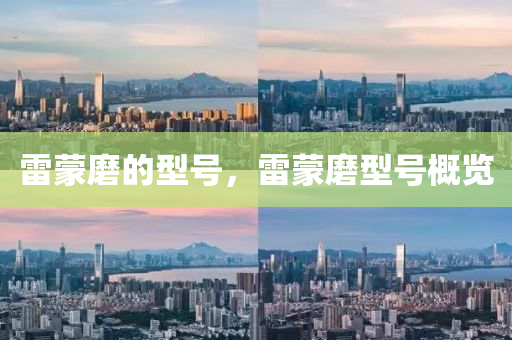 雷蒙磨的型号，雷蒙磨型号概览中山市多米克自动化设备有限公司