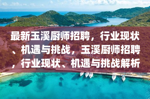 最新玉溪厨师招聘，行业现状、机遇与挑战，玉溪厨师招聘，行业现状、机遇与挑战解析中山市多米克自动化设备有限公司