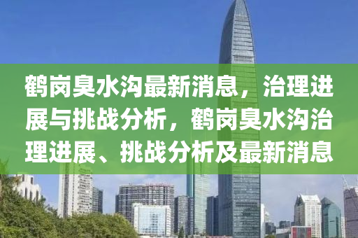 鹤岗臭水沟最新消息，治理进展与挑战分析，鹤岗臭水沟治理进展、挑战分析及最新中山市多米克自动化设备有限公司消息