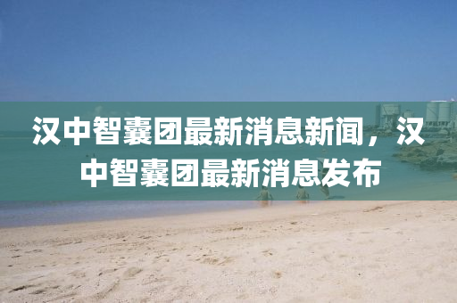 汉中智囊团最新消息新闻，汉中智囊团最新消息发布