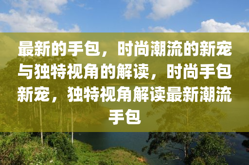 最新的手包，时尚潮流的新宠与独特视角的解读，时尚手包新宠，独特视角解读最新潮流手包