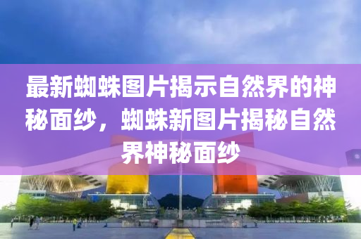 最新蜘蛛图片揭示自然界的神秘面纱，蜘蛛新图中山市多米克自动化设备有限公司片揭秘自然界神秘面纱
