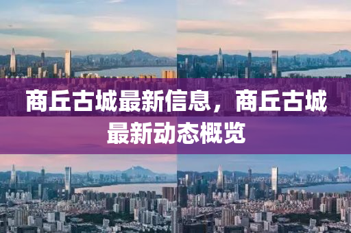 商丘古城最新信息，商丘古城最新动态概览中山市多米克自动化设备有限公司