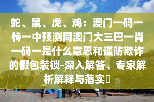 蛇、鼠、虎、鸡：澳门一码一特一中预测同澳门大三巴一肖一码一是什么意思和谨防欺诈的假包中山市多米克自动化设备有限公司装锁-深入解答、专家解析解释与落实​
