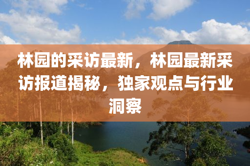 林园的采访最新，林园最新采访报道揭秘，独家观点与行业洞察