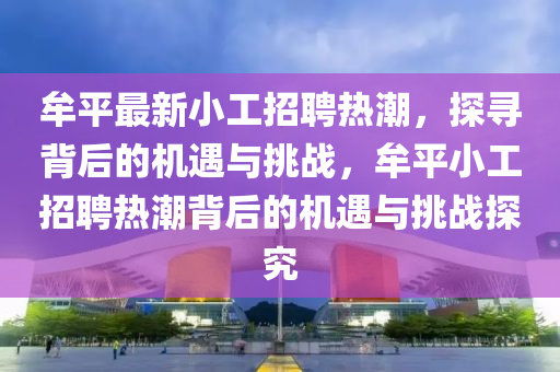 牟平最新小工招聘热潮，探寻背后的机遇与挑战，牟平小工招聘热潮背后的机遇与挑战探究中山市多米克自动化设备有限公司