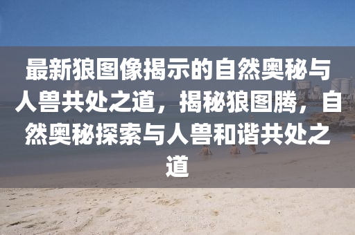 最新狼图像揭示的自然奥秘与人兽共处之道，揭秘狼图腾，自然奥秘探索与人兽和谐共处之道中山市多米克自动化设备有限公司