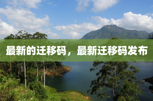 铁算算盘4887最准资料 第33页