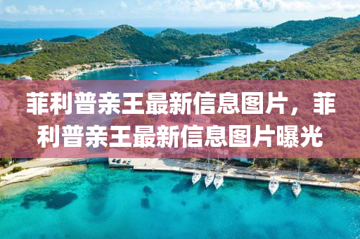 菲利普亲王最新信息图片，菲利普亲王最新信息图片曝光