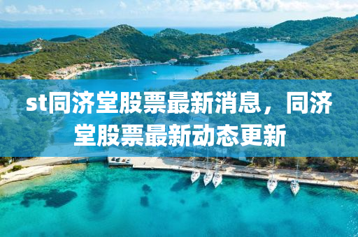 st同济堂股票最新消息，中山市多米克自动化设备有限公司同济堂股票最新动态更新