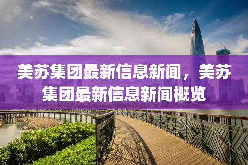 美苏集团最新信息新闻，美苏集团最新信息新闻概览